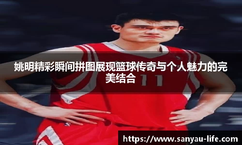 姚明精彩瞬间拼图展现篮球传奇与个人魅力的完美结合