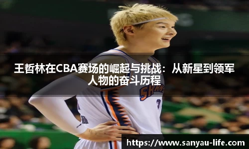 王哲林在CBA赛场的崛起与挑战：从新星到领军人物的奋斗历程